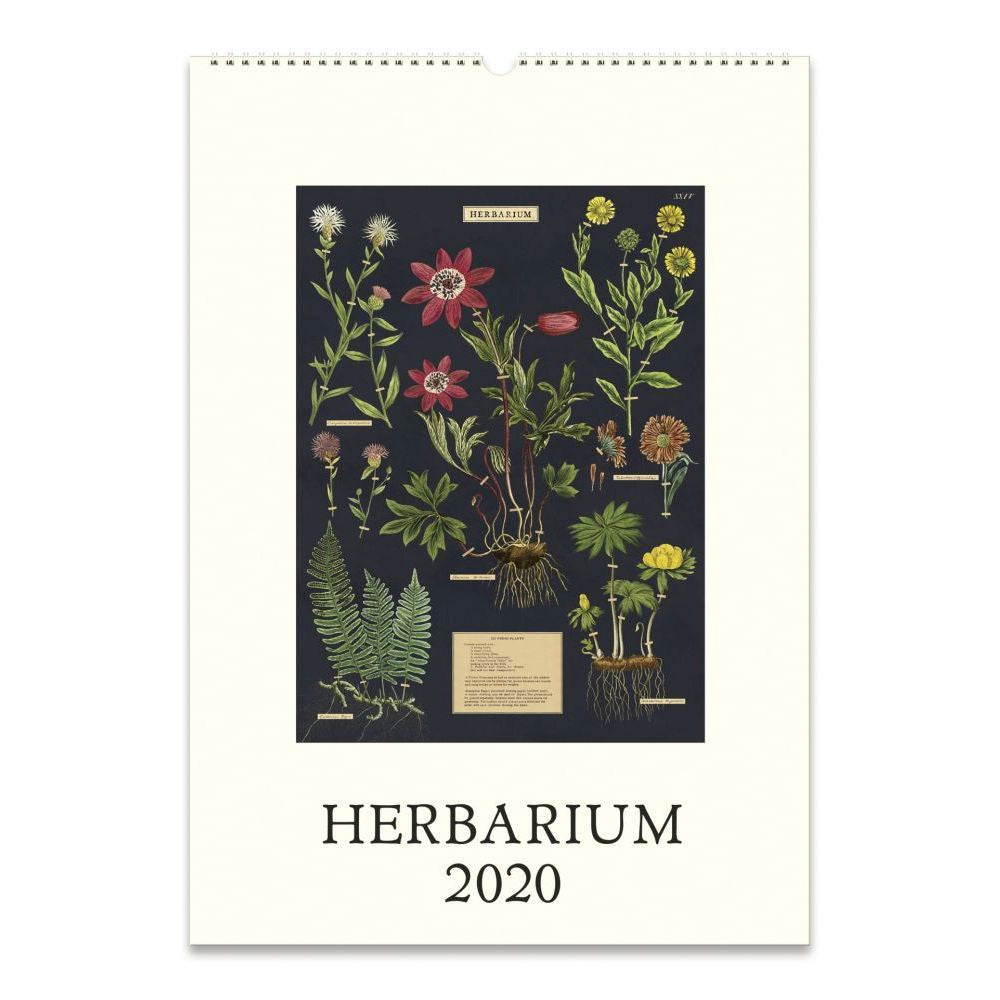 Herbarium Wall Calendar 2020 - WishBasket